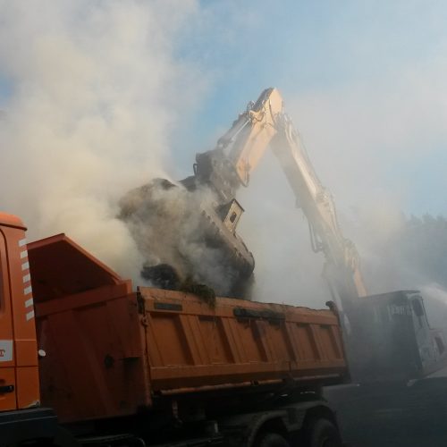 Noteinsatz Brandstelle Stallgebäude, Falkenberg